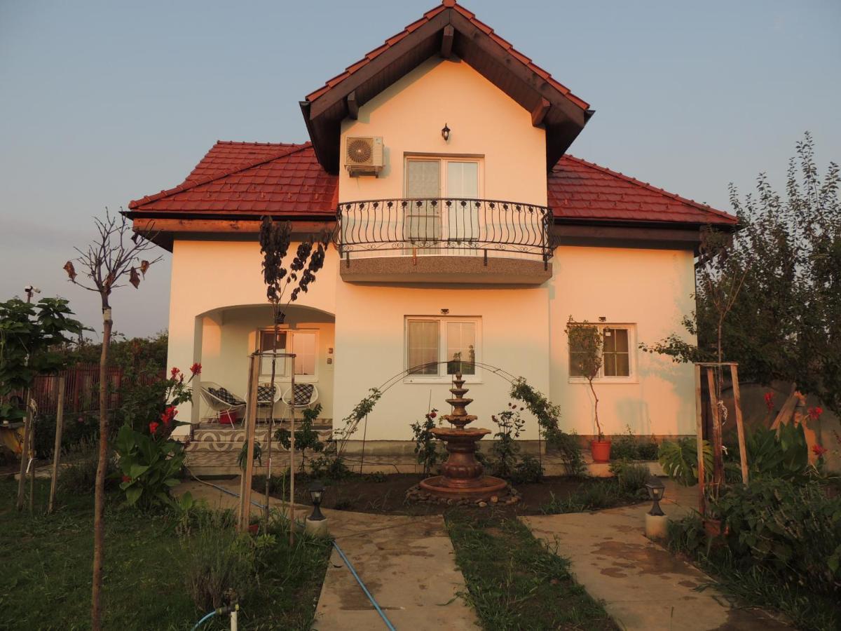 Hotel Blue Sky House Balotesti Exterior foto